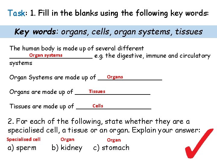 Task: 1. Fill in the blanks using the following key words: Key words: organs,