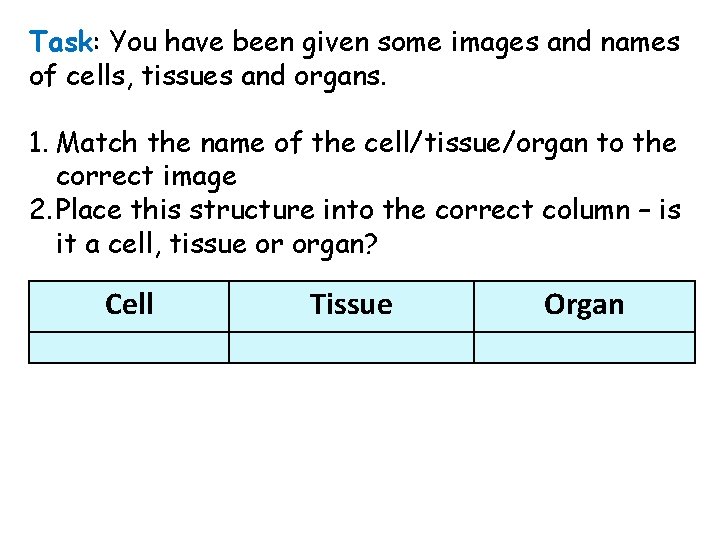 Task: You have been given some images and names of cells, tissues and organs.