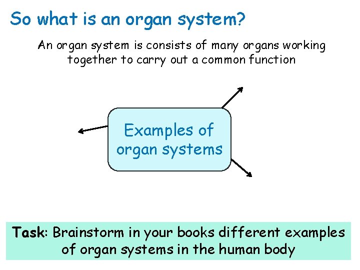 So what is an organ system? An organ system is consists of many organs So what is an organ system? An organ system is consists of many organs