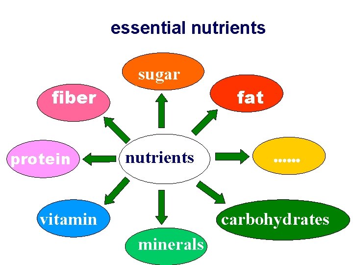 essential nutrients sugar fiber protein fat nutrients vitamin …… carbohydrates minerals 