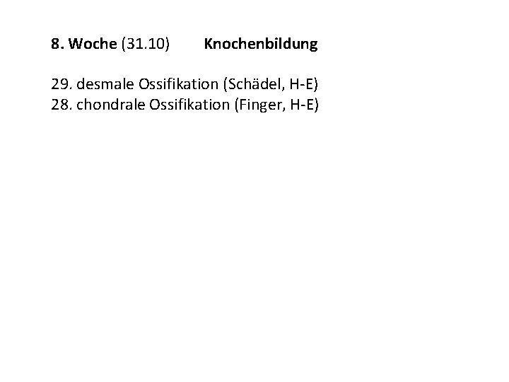 8. Woche (31. 10) Knochenbildung 29. desmale Ossifikation (Schädel, H-E) 28. chondrale Ossifikation (Finger,