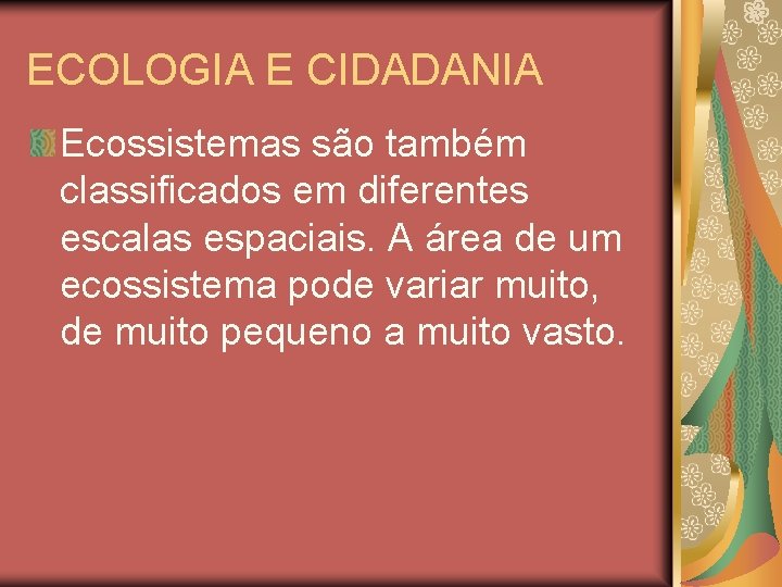 ECOLOGIA E CIDADANIA Ecossistemas são também classificados em diferentes escalas espaciais. A área de