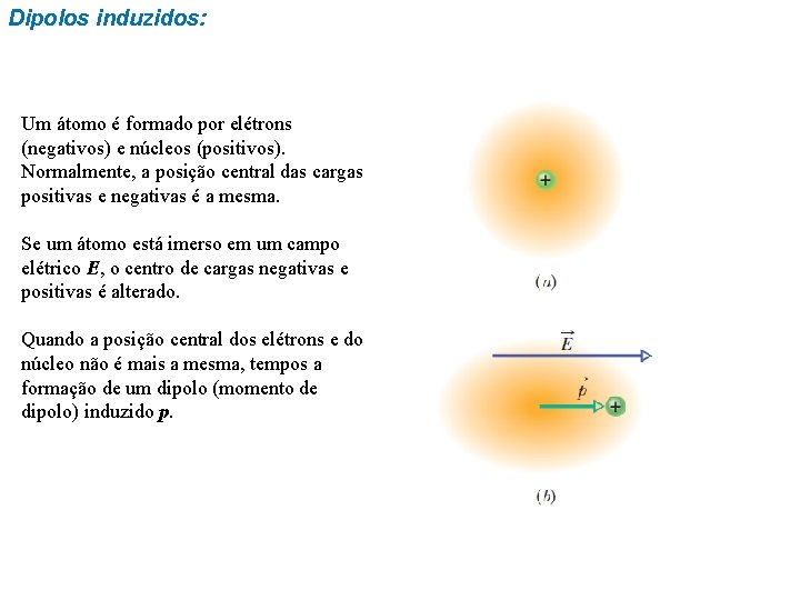 Dipolos induzidos: Um átomo é formado por elétrons (negativos) e núcleos (positivos). Normalmente, a Dipolos induzidos: Um átomo é formado por elétrons (negativos) e núcleos (positivos). Normalmente, a