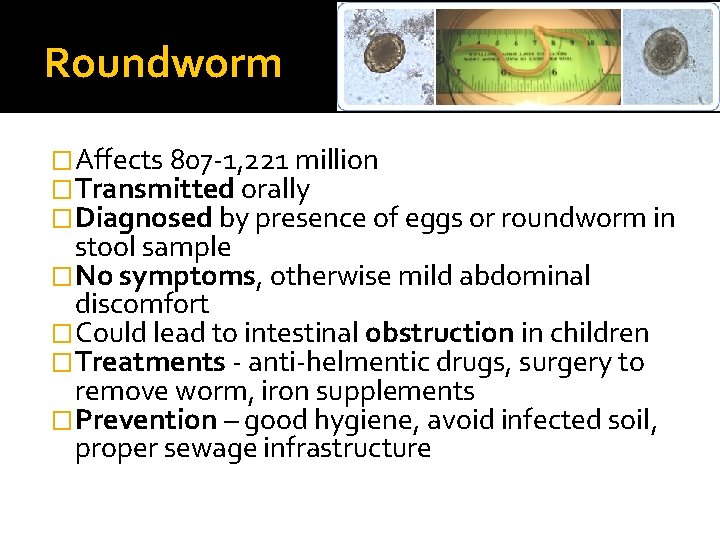 Roundworm �Affects 807 -1, 221 million �Transmitted orally �Diagnosed by presence of eggs or