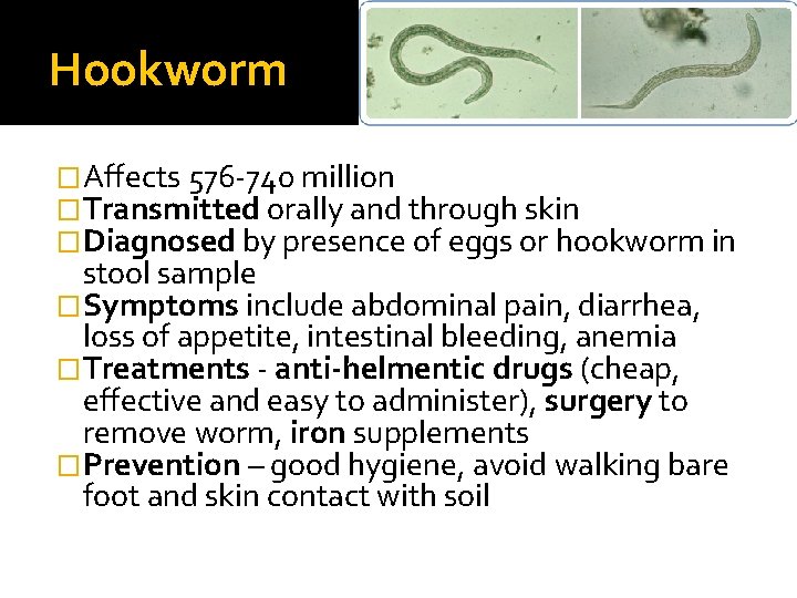 Hookworm �Affects 576 -740 million �Transmitted orally and through skin �Diagnosed by presence of