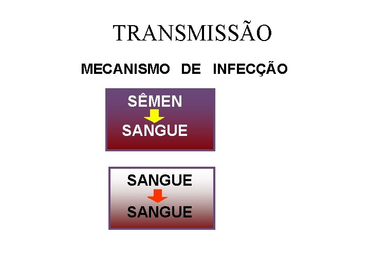  TRANSMISSÃO MECANISMO DE INFECÇÃO SÊMEN SANGUE 