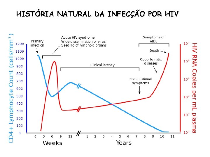 HISTÓRIA NATURAL DA INFECÇÃO POR HIV 