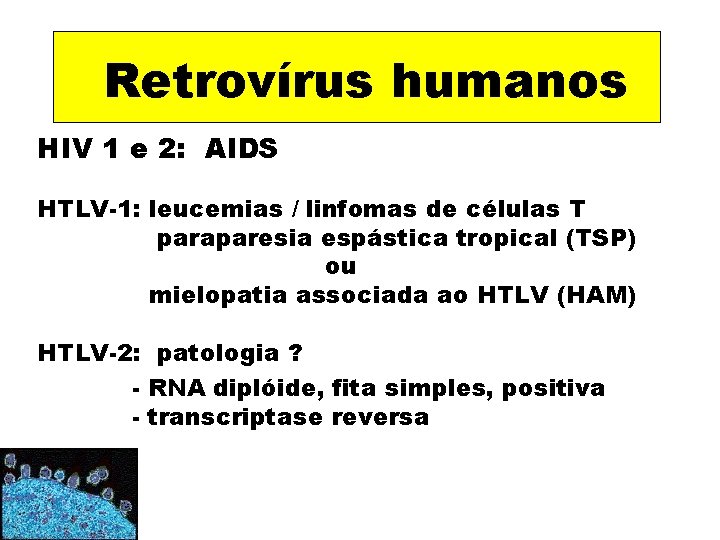Retrovírus humanos HIV 1 e 2: AIDS HTLV-1: leucemias / linfomas de células T