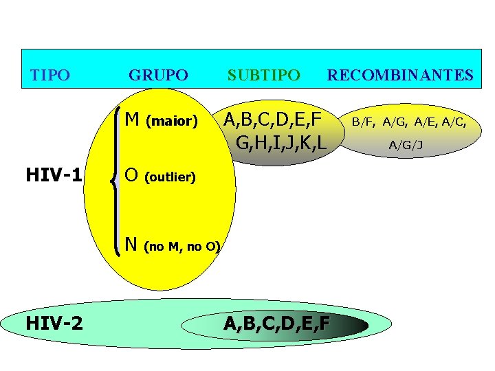 TIPO HIV-1 HIV-2 GRUPO SUBTIPO M A, B, C, D, E, F G, H,