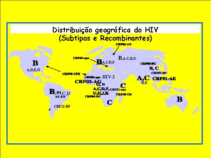 Distribuição geográfica do HIV (Subtipos e Recombinantes) A, C, D, F B, A, C,