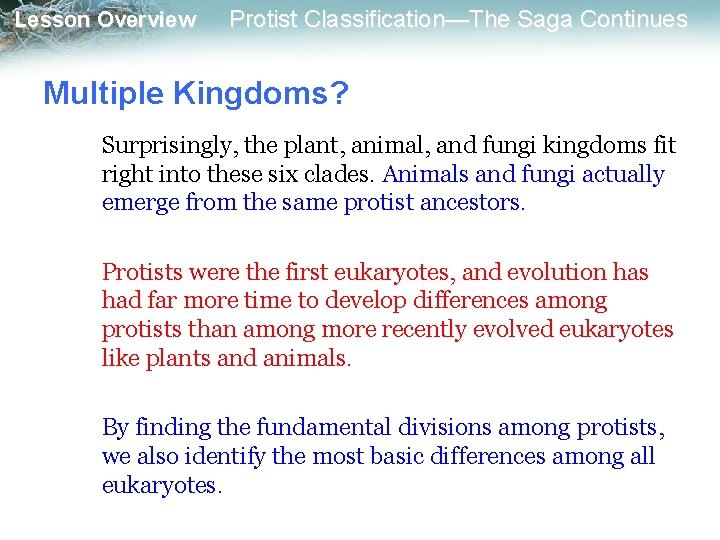 Lesson Overview Protist Classification—The Saga Continues Multiple Kingdoms? Surprisingly, the plant, animal, and fungi