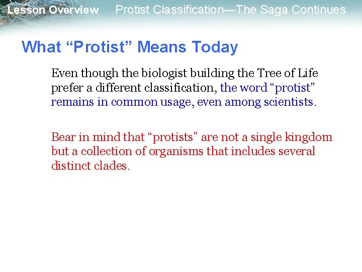 Lesson Overview Protist Classification—The Saga Continues What “Protist” Means Today Even though the biologist