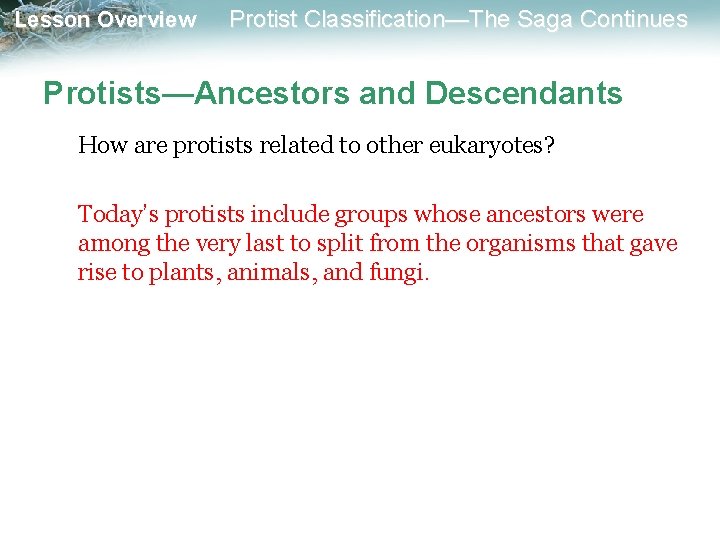 Lesson Overview Protist Classification—The Saga Continues Protists—Ancestors and Descendants How are protists related to