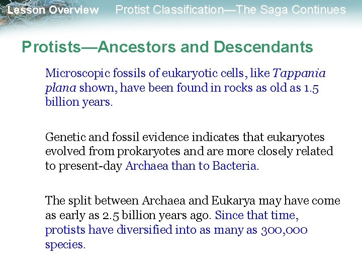 Lesson Overview Protist Classification—The Saga Continues Protists—Ancestors and Descendants Microscopic fossils of eukaryotic cells,