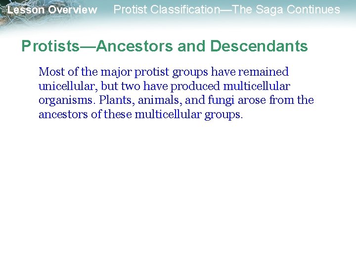 Lesson Overview Protist Classification—The Saga Continues Protists—Ancestors and Descendants Most of the major protist
