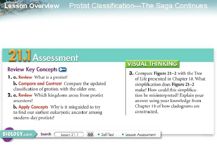Lesson Overview Protist Classification—The Saga Continues 
