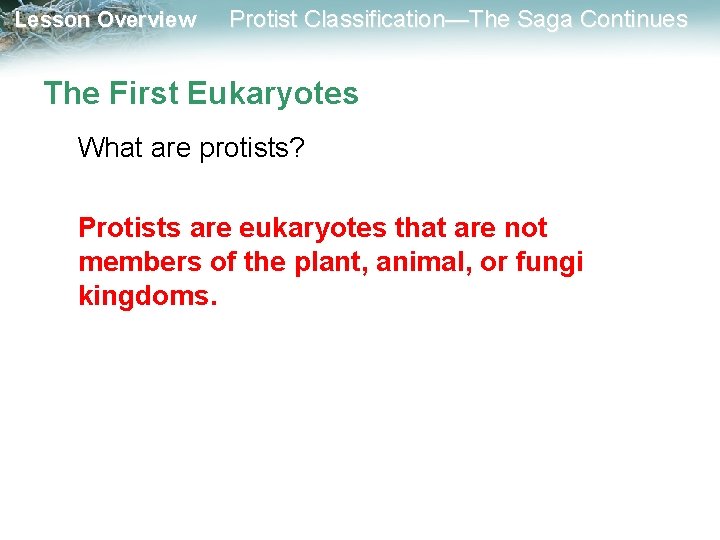 Lesson Overview Protist Classification—The Saga Continues The First Eukaryotes What are protists? Protists are