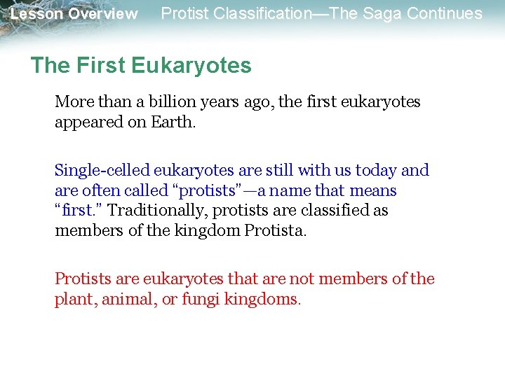 Lesson Overview Protist Classification—The Saga Continues The First Eukaryotes More than a billion years