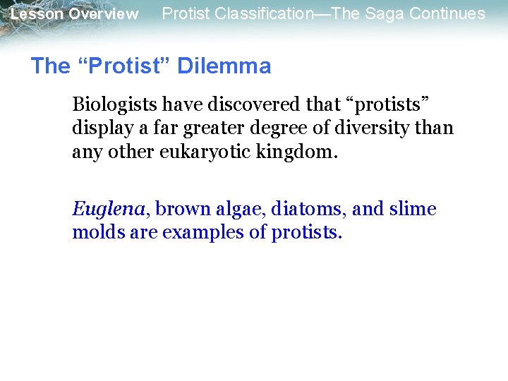 Lesson Overview Protist Classification—The Saga Continues The “Protist” Dilemma Biologists have discovered that “protists”