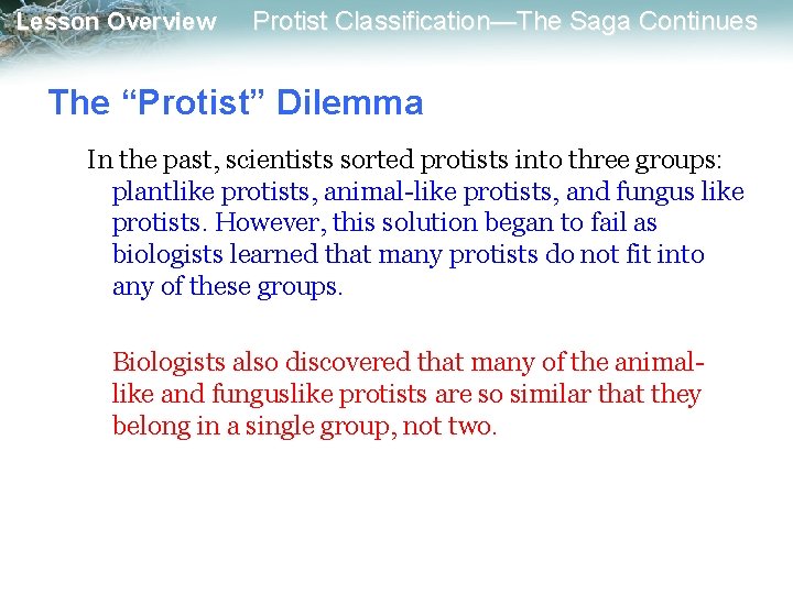 Lesson Overview Protist Classification—The Saga Continues The “Protist” Dilemma In the past, scientists sorted