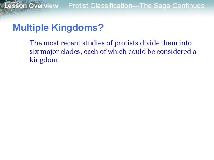 Lesson Overview Protist Classification—The Saga Continues Multiple Kingdoms? The most recent studies of protists