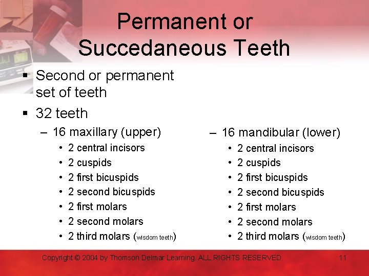 Permanent or Succedaneous Teeth § Second or permanent set of teeth § 32 teeth