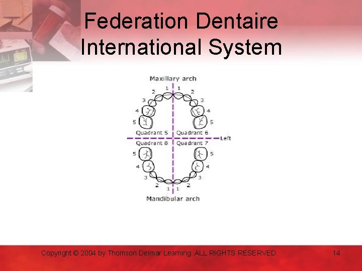 Federation Dentaire International System Copyright © 2004 by Thomson Delmar Learning. ALL RIGHTS RESERVED.