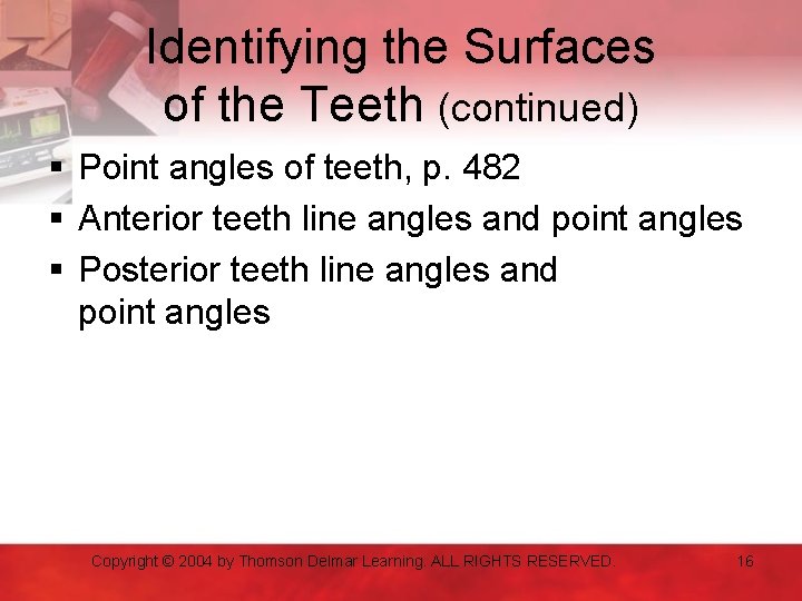 Identifying the Surfaces of the Teeth (continued) § Point angles of teeth, p. 482