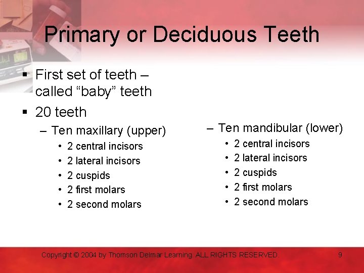 Primary or Deciduous Teeth § First set of teeth – called “baby” teeth §