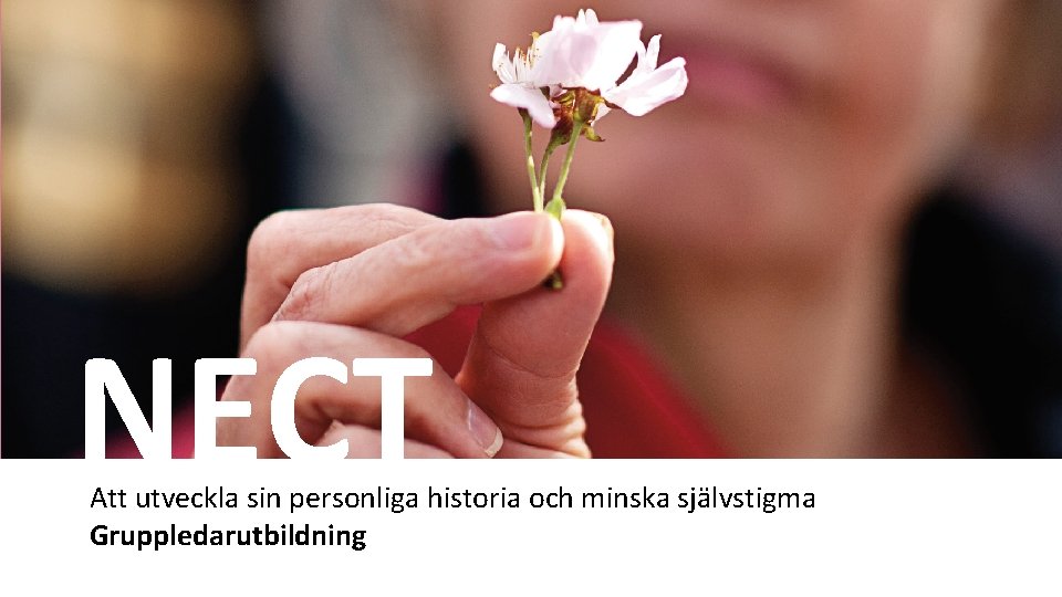 NECT Att utveckla sin personliga historia och minska självstigma Gruppledarutbildning 