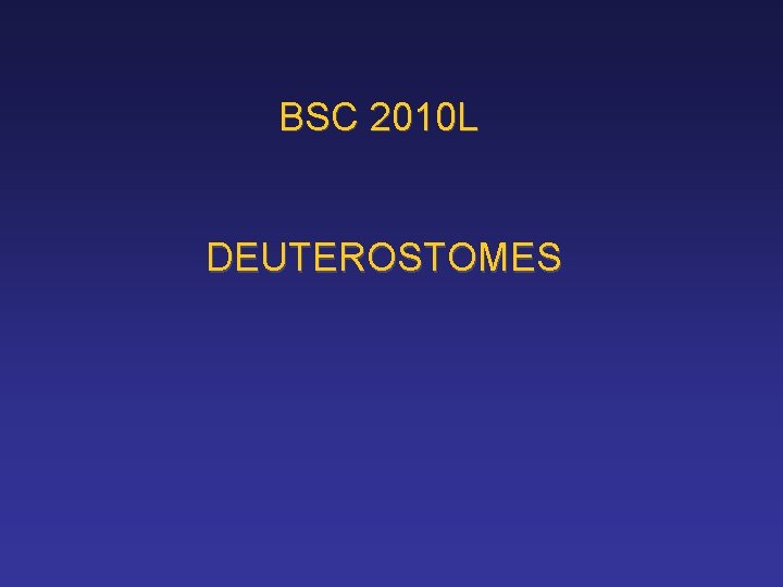 BSC 2010 L DEUTEROSTOMES 