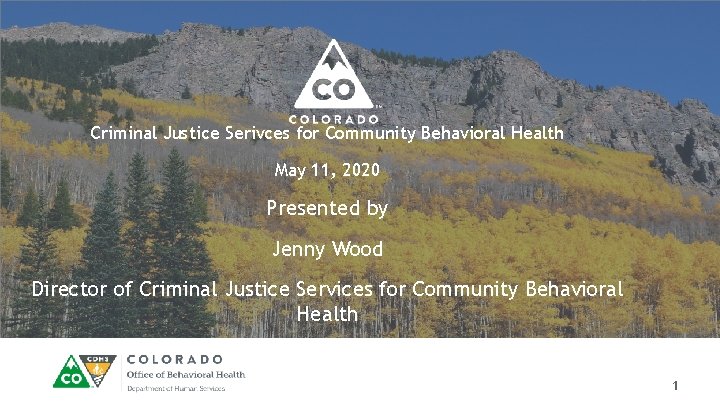 Criminal Justice Serivces for Community Behavioral Health May 11, 2020 Presented by Jenny Wood