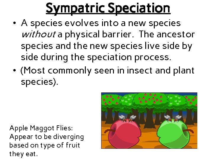 Sympatric Speciation • A species evolves into a new species without a physical barrier.