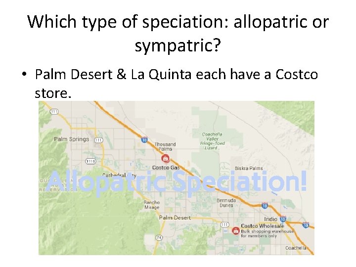 Which type of speciation: allopatric or sympatric? • Palm Desert & La Quinta each