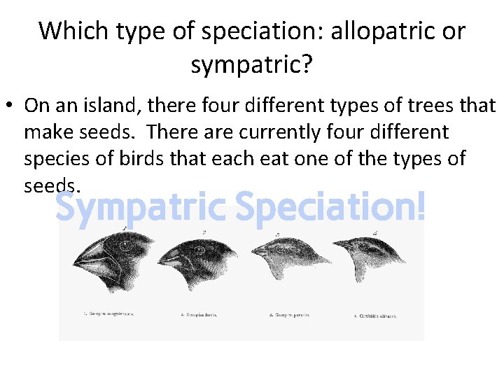 Which type of speciation: allopatric or sympatric? • On an island, there four different