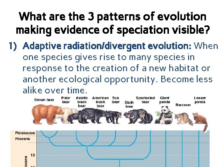 What are the 3 patterns of evolution making evidence of speciation visible? 1) Adaptive