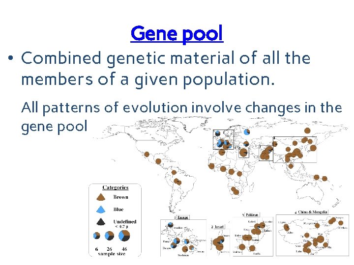 Gene pool • Combined genetic material of all the members of a given population.