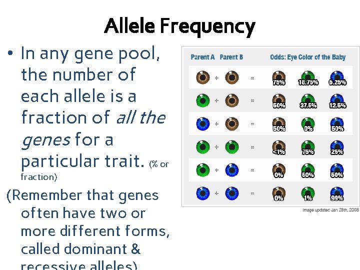 Allele Frequency • In any gene pool, the number of each allele is a