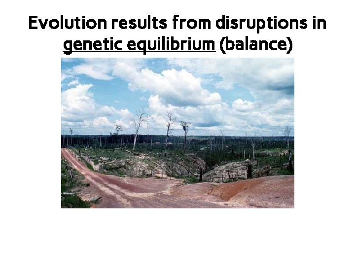 Evolution results from disruptions in genetic equilibrium (balance) 