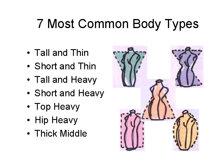 7 Most Common Body Types • • Tall and Thin Short and Thin Tall