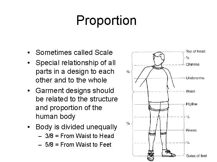 Proportion • Sometimes called Scale • Special relationship of all parts in a design