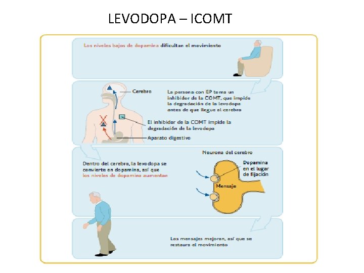 LEVODOPA – ICOMT 