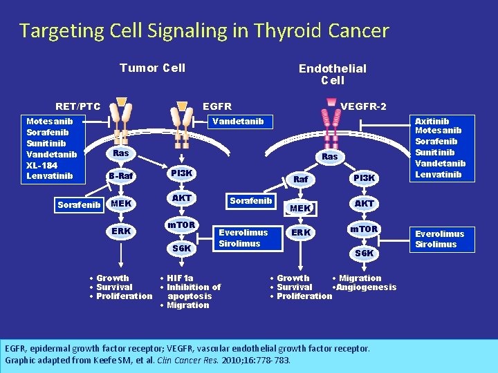Advanced Differentiated Thyroid Cancer In the Era Of