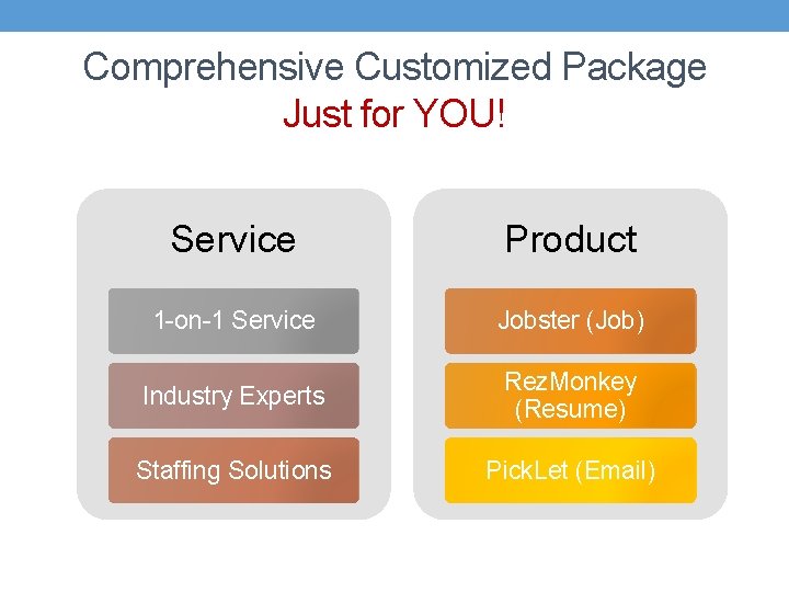 Comprehensive Customized Package Just for YOU! Service Product 1 -on-1 Service Jobster (Job) Industry