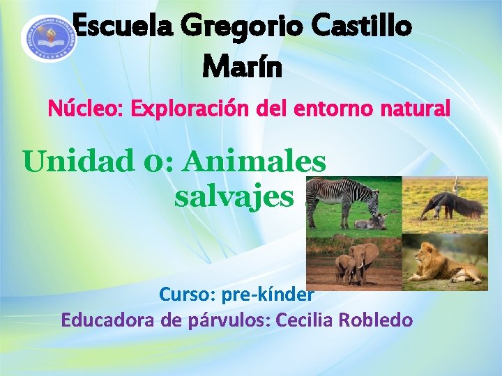 Escuela Gregorio Castillo Marín Núcleo: Exploración del entorno natural Unidad 0: Animales salvajes. Curso: