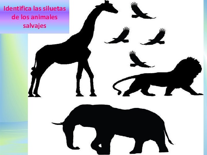 Identifica las siluetas de los animales salvajes 