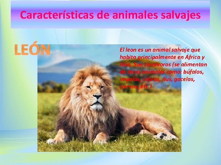 Características de animales salvajes LEÓN El leon es un animal salvaje que habita principalmente