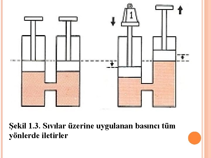 Şekil 1. 3. Sıvılar üzerine uygulanan basıncı tüm yönlerde iletirler 