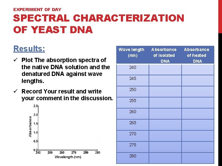 EXPERIMENT OF DAY SPECTRAL CHARACTERIZATION OF YEAST DNA Results: ü Plot The absorption spectra