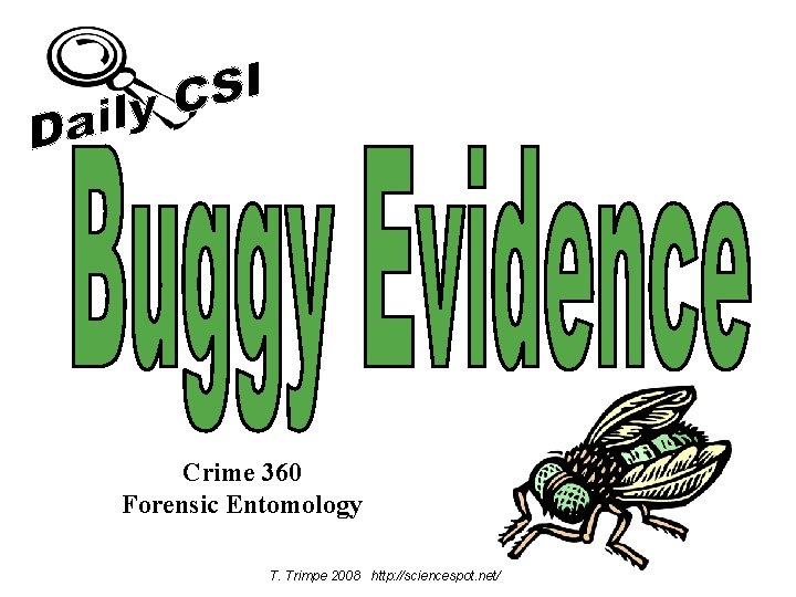 Crime 360 Forensic Entomology T. Trimpe 2008 http: //sciencespot. net/ 